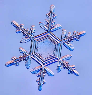 Snowflakes_8