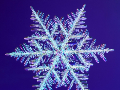 Snowflakes_11