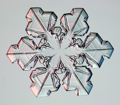 Snowflakes_12