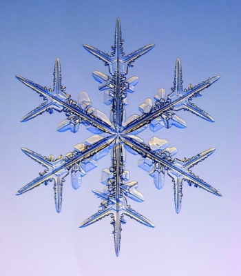 Snowflakes_25