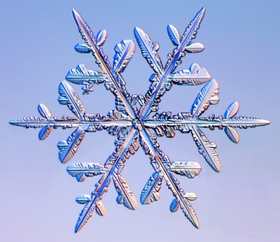 Snowflakes_33