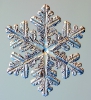 Snowflakes_10