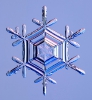 Snowflakes_15