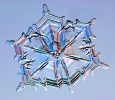 Snowflakes_16