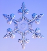 Snowflakes_17