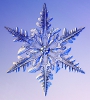 Snowflakes_1