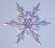 Snowflakes_21