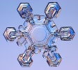 Snowflakes_22