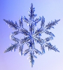 Snowflakes_23