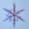 Snowflakes_27