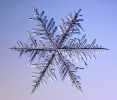 Snowflakes_2