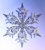 Snowflakes_30