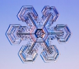 Snowflakes_34