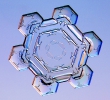 Snowflakes_3