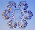 Snowflakes_5