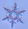 Snowflakes_8