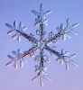 Snowflakes_9